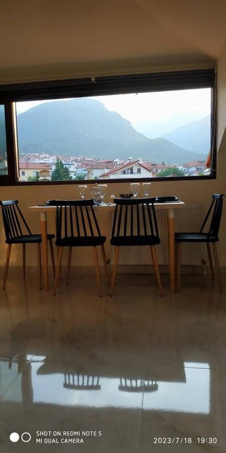 Luxury With Olympus And Sea View * Litochoro